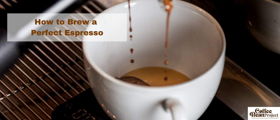 How to Brew the Perfect Espresso